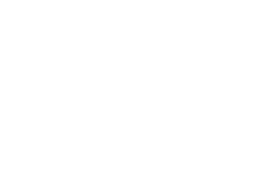 SRT Services